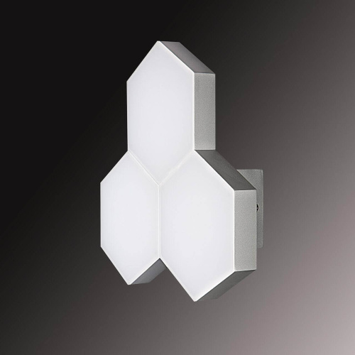 Настенный светильник Lightstar Favo 750634 фото 4