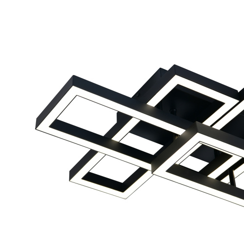 Потолочный светильник 100006/A/4C LED*65W Black фото 5