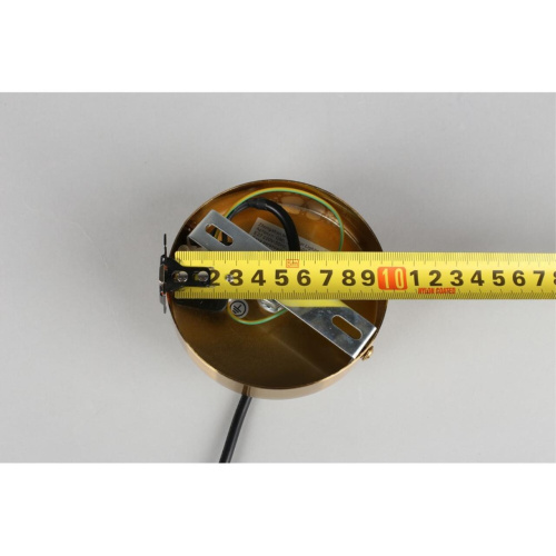 Светильник подвесной OML-99306-01 фото 2