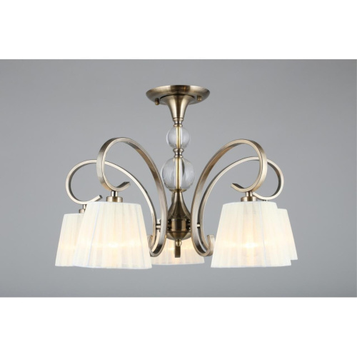 Люстра потолочная OML-56103-05 фото 7