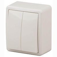 Выключатель двухклавишный ЭРА Эксперт 10AX 250V 11-1204-02 Б0020664