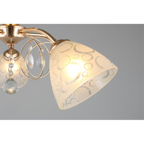 Люстра потолочная OML-29007-05 фото 2