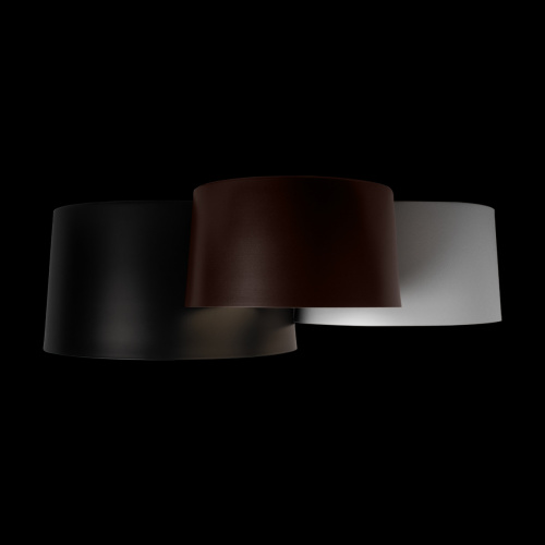 10360/3 Потолочный светильник LOFT IT Duo фото 4 10360/3 Потолочный светильник LOFT IT Duo фото 4