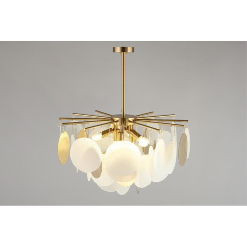 Люстра потолочная OML-89907-06 фото 6