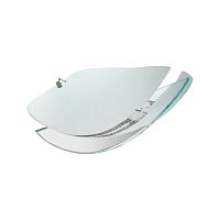 Потолочный светильник ITACA PL