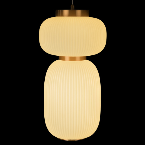 10422/B Подвесной светильник LOFT IT Duff фото 7