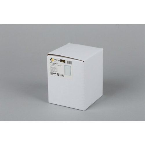 Светильник встраиваемый-накладной OML-101209-01 фото 2