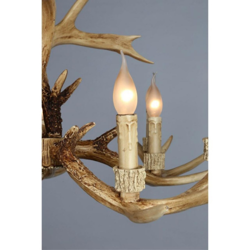 Люстра подвесная OML-52003-10 фото 6