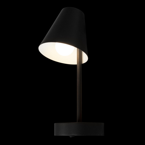 10216/1W Black Настенный светильник LOFT IT Shelf фото 7