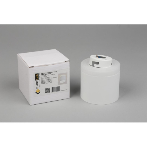 Светильник встраиваемый-накладной OML-102309-16 фото 9