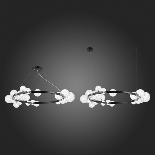 SL1165.403.24 Светильник подвесной ST-Luce Черный/Прозрачный G4 24*5W NECTON фото 2