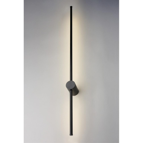 Светильник настенный (Бра) APL.0124.01.20 фото 2