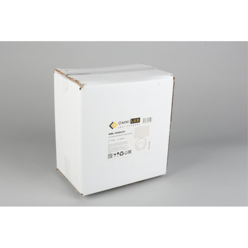 Настольная лампа OML-19304-01 фото 9