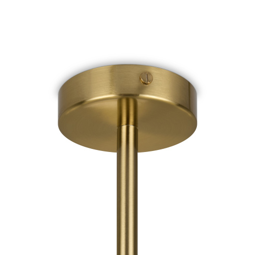 Потолочный светильник Freya FR1009CL-07BS фото 7