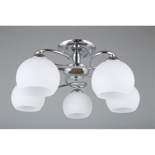 Люстра потолочная OML-25107-05 фото 5