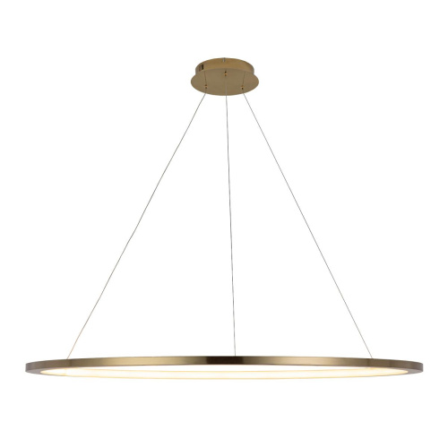 10014XXL Подвесной светильник LOFT IT Ring фото 2