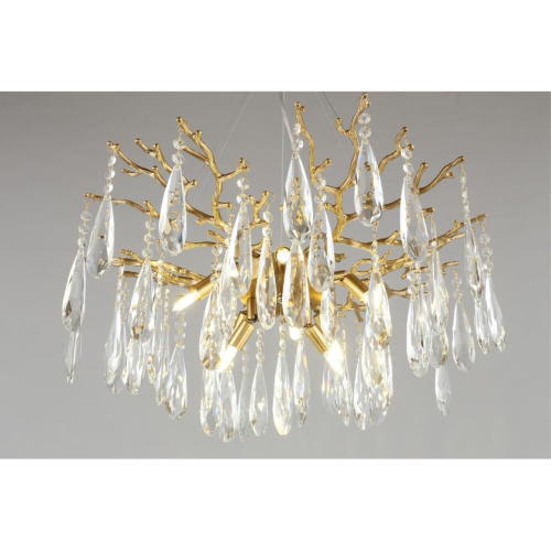 Люстра подвесная OML-52903-08 фото 7