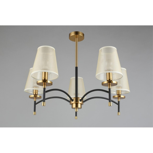 Люстра потолочная OML-67307-05 фото 4