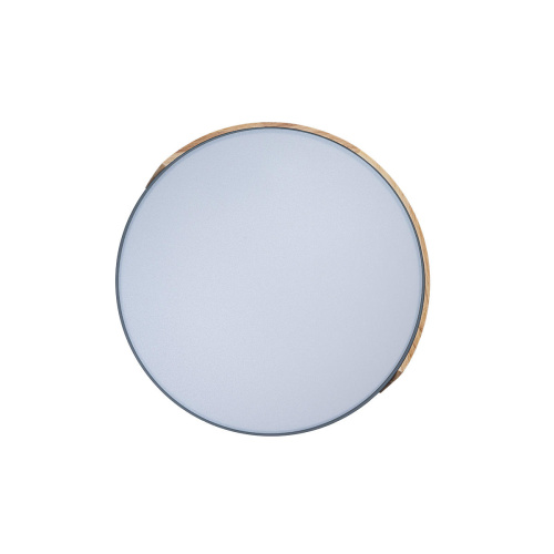 10004/36 Grey Потолочный светильник LOFT IT Axel фото 5