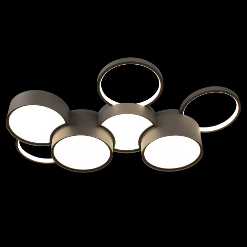 10317/7 Grey Потолочный светильник LOFT IT Pin фото 3 10317/7 Grey Потолочный светильник LOFT IT Pin фото 3