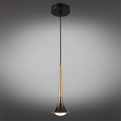 Светильник подвесной APL.784.06.01 фото 3