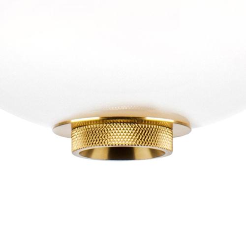 Подвесной светодиодный светильник Lightstar Colore 805403 фото 7
