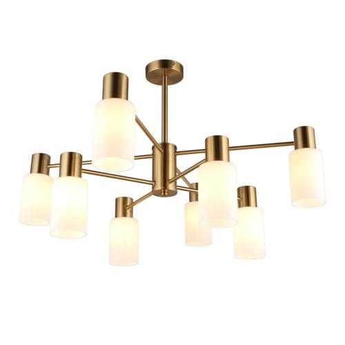 Люстра потолочная OML-69107-08