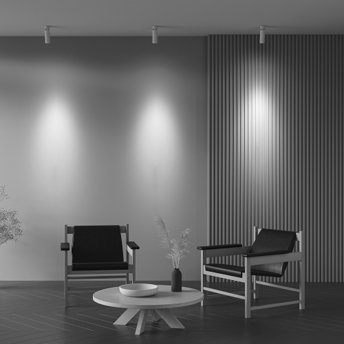 Потолочный светильник Technical C055CL-L12W4K-Z-W фото 12