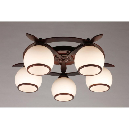 Люстра потолочная OML-50507-05 фото 3 Люстра потолочная OML-50507-05 фото 3