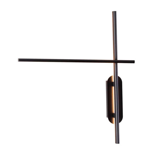 Настенный светильник Odeon Light RUDY 3890/20WLP фото 3