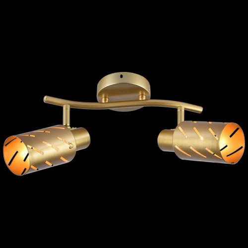 Спот Reluce 05970-0.8-02 GOLD фото 2