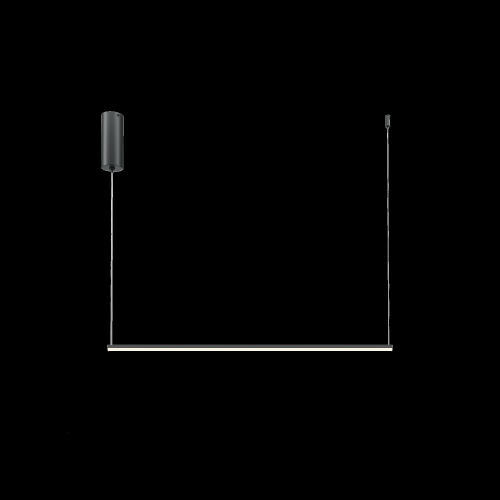 Подвесной светильник Maytoni MOD246PL-L16BK фото 4