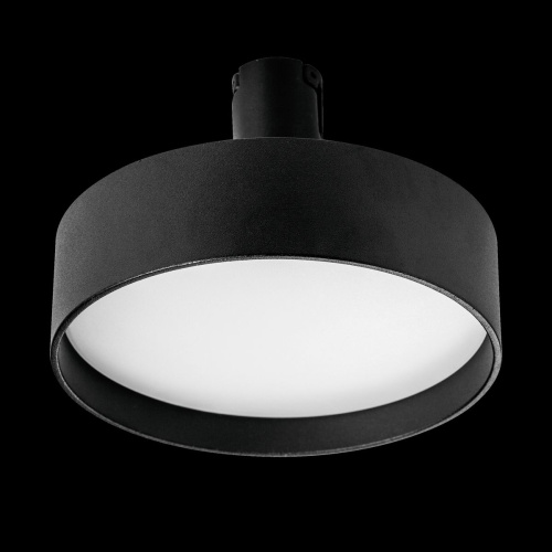 Трековый светодиодный светильник Lightstar Due 207437 фото 2