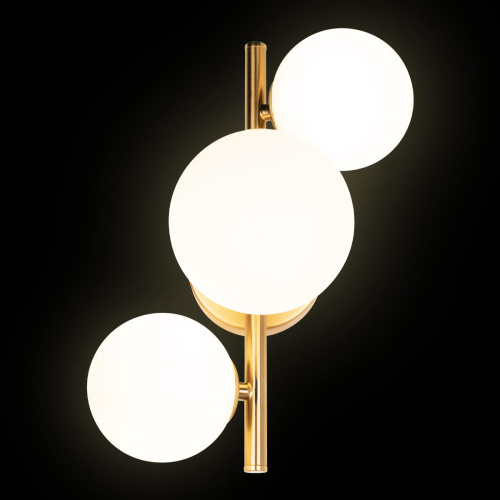 10236/3W Настенный светильник LOFT IT Tely фото 2 10236/3W Настенный светильник LOFT IT Tely фото 2