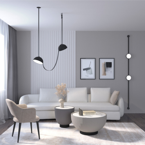 DK5561-BK Cветильник для трека-ремня Belty, серия Flow со светодиодом, D220*H117мм, 48V DC, 24W, RA90, 120°, 3000K, IP20, черный, алюминий фото 6