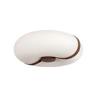 10473 Потолочный светильник LOFT IT Bolina