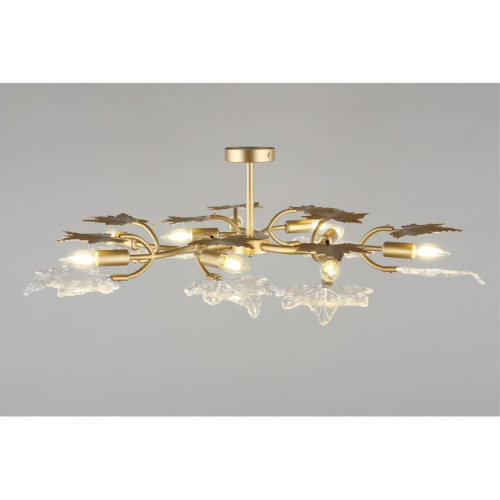 Люстра потолочная OML-52707-09 фото 6