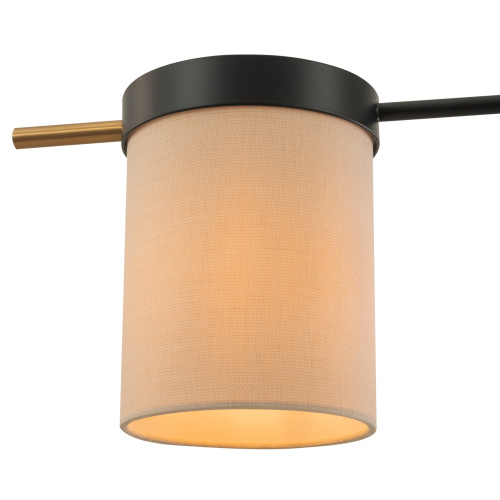 Потолочный светильник Freya FR5377CL-04B фото 5