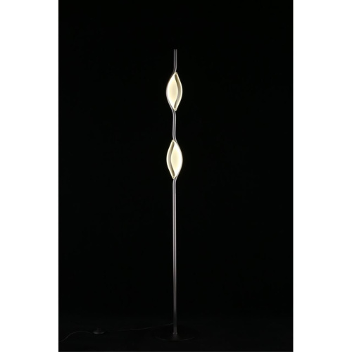 Торшер APL.060.05.18 фото 8