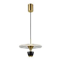 Подвесной светодиодный светильник Wertmark EBBO WE471.02.366