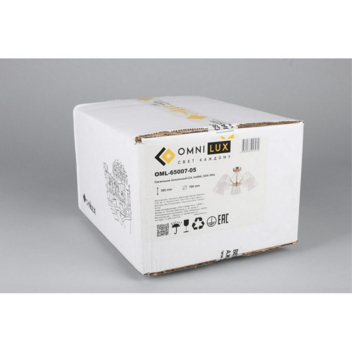 Люстра потолочная OML-65007-05 фото 9