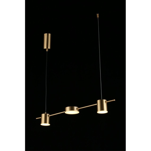 Люстра подвесная APL.017.13.18 фото 14