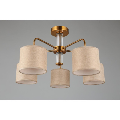 Люстра потолочная OML-56907-05 фото 8