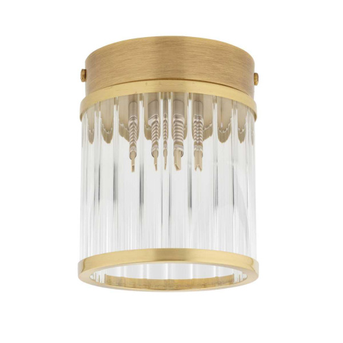 Потолочный светильник  KUTEK ERBA ERB-OCZ-1(ZM)