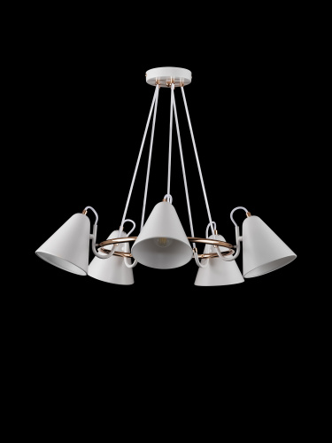 Люстра Freya FR8001PL-05WG фото 6