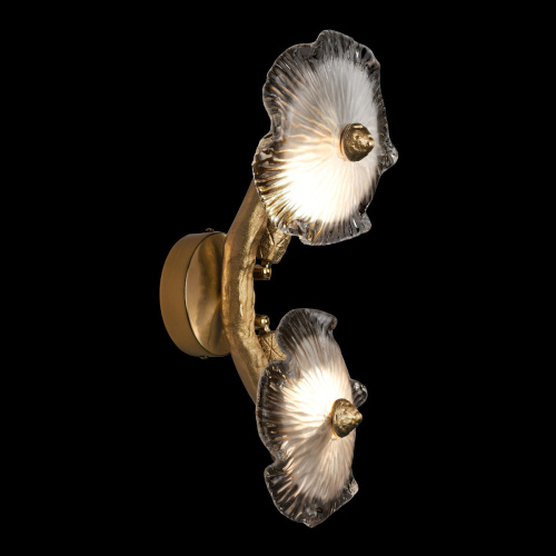 10352/2W AB Бра LOFT IT Bloom фото 6