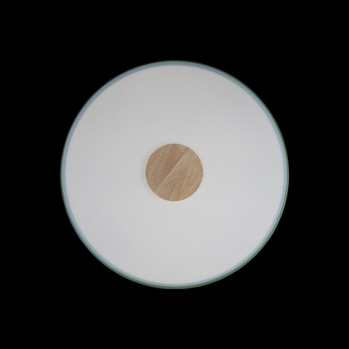 10003/24 Green Потолочный светильник LOFT IT Axel фото 4