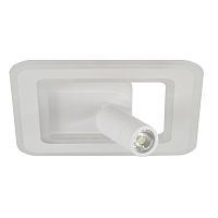 Настенно-потолочный свет Escada 20021SMA/01 LED 45W 4000K белый