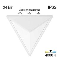 Уличный настенный светодиодный светильник Citilux Domus CLU0804WH