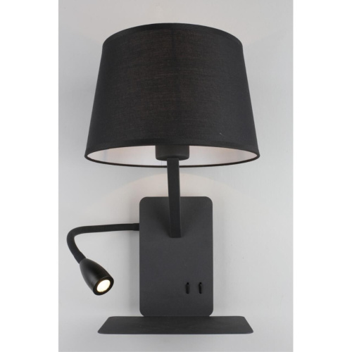 Светильник настенный (Бра) OML-62811-02 фото 5